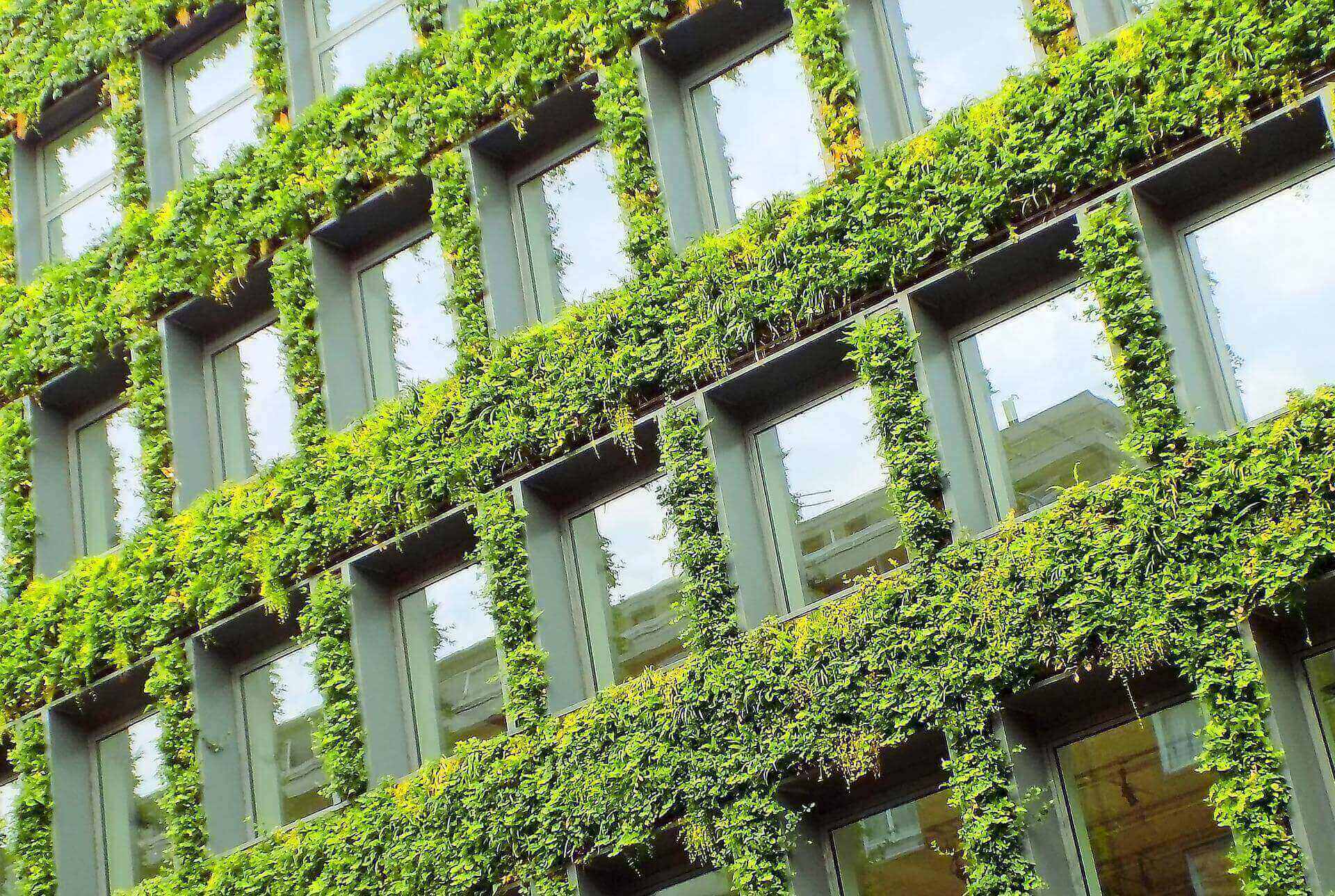Energy management : définition, avantages, exemples à mettre en place