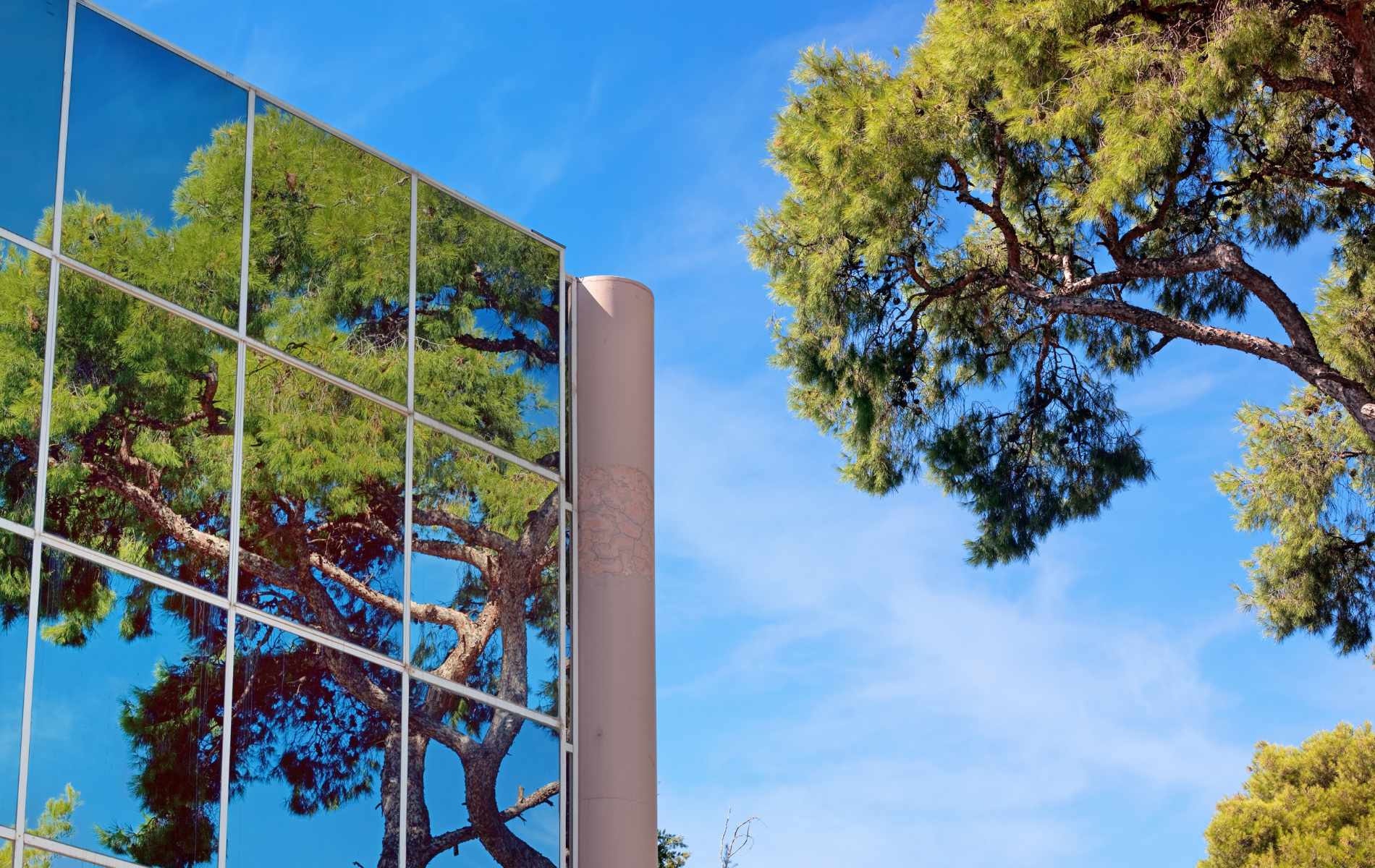 RSE : comment les entreprises responsables évoluent-elles ?